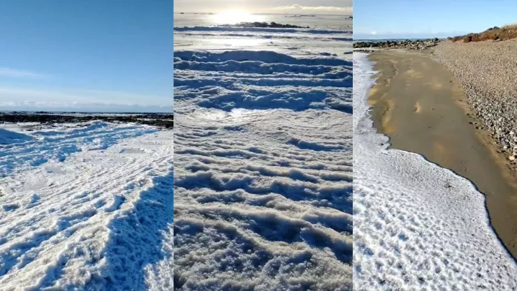 MAR EN ARGENTINA CONGELADO