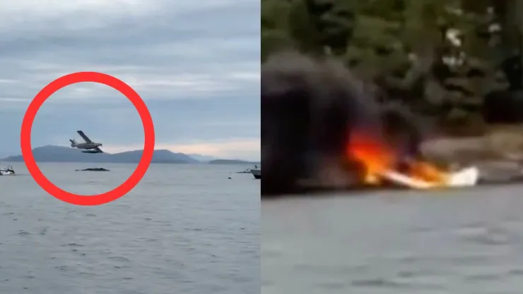 Avión cae al agua y se incendia en Washington: rescatan a 11 personas tras aterrador accidente