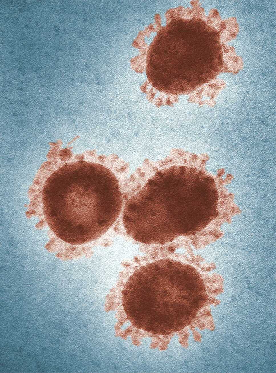 microbios zombis