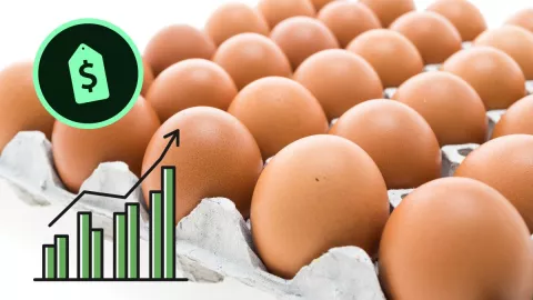 Precio del huevo Por qué aumentó en México este 2023