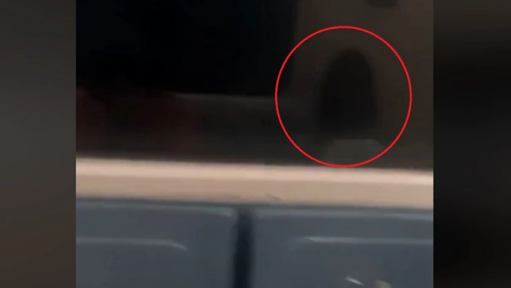 fantasma metro cdmx gritos