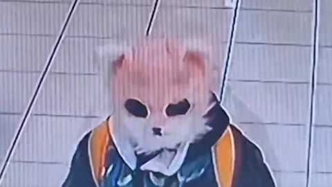 Chica con máscara de gato trata de robar y... sólo responde “Miau” al ser detenida