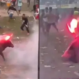 Prenden fuego a los cuernos de un toro en Colombia: Desata indignación por crueldad animal| VIDEO