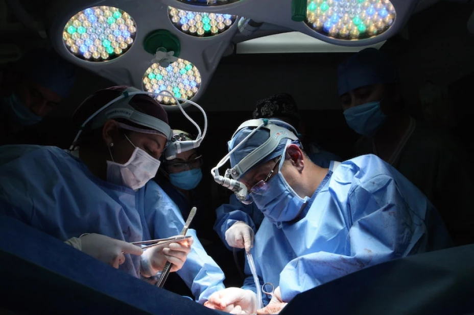 Donación de órganos