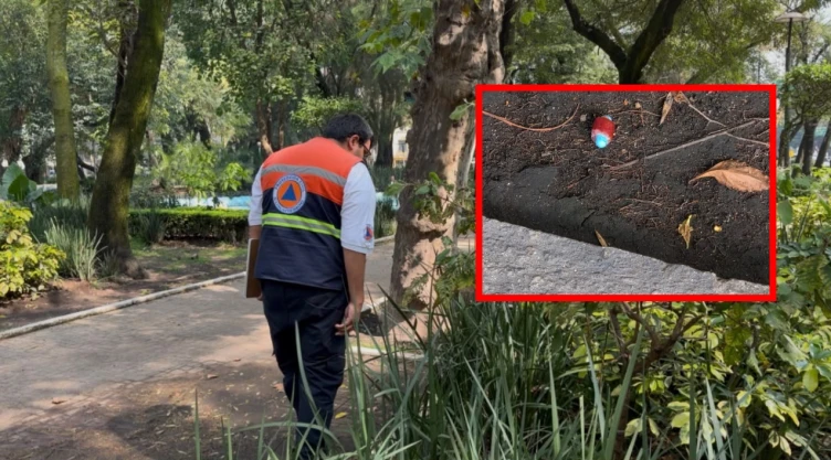 Cuatro perros murieron por comer carne con venedo en Parque España.