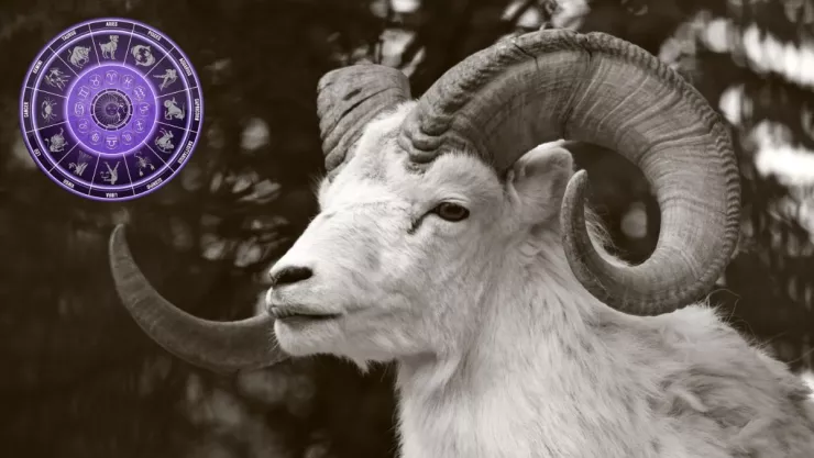 Horóscopo mensual Aries ¿Qué le depara a tu signo en septiembre 2024?