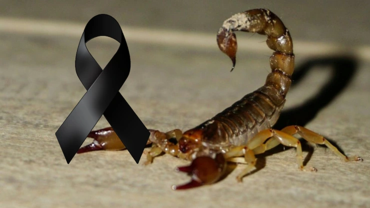 Fallece niño de 3 años por presunta picadura de alacrán, pensaban que era gripa