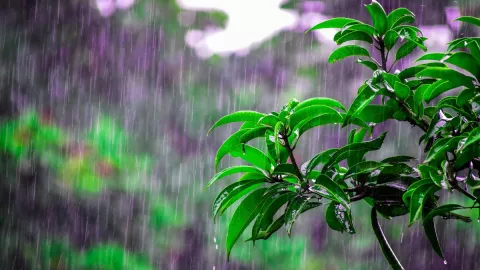 Advierten por lluvias en Veracruz