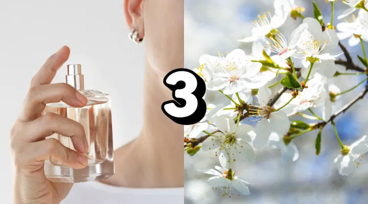 /estilo-de-vida/perfumes-que-huelen-a-flores-blancas-primavera