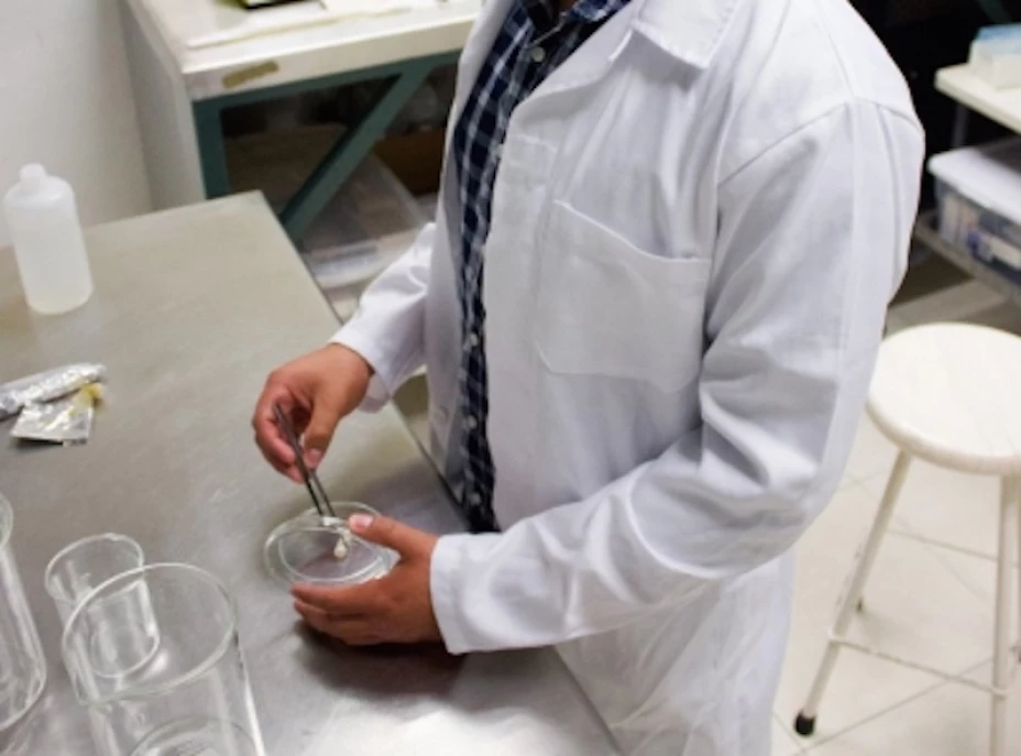 Investigación cáncer de mama