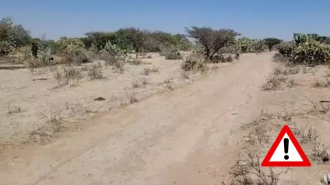 Encuentran a un hombre muerto en el municipio de El Llano