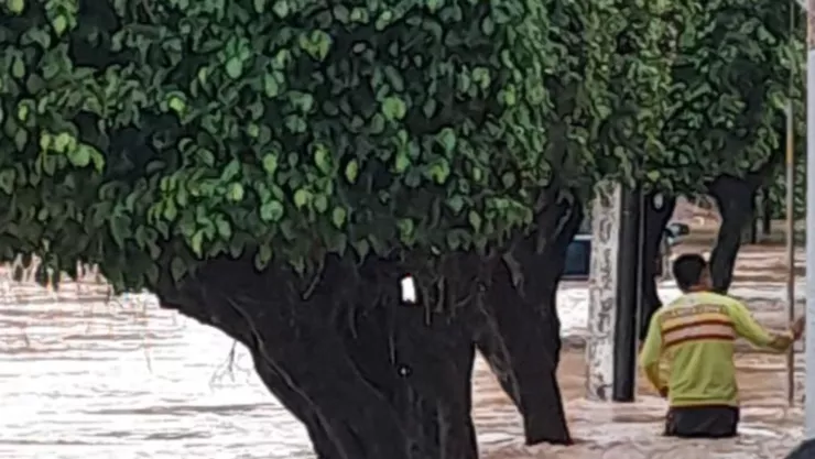 Afectaciones por temporada de lluvias deja al menos 64 muertos en México, según Protección Civil; ¿cuál es el estado más afectado?