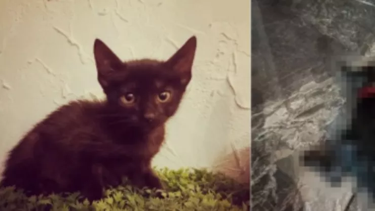 Texto del párrafo - 2025-05-04T084213.039.jpg