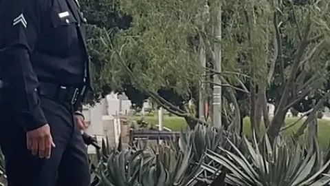 Perros policía no reciben un salario, trabajan horas extra y están dispuestos a dar la vida por sus empleadores en las corporaciones policiacas del mundo