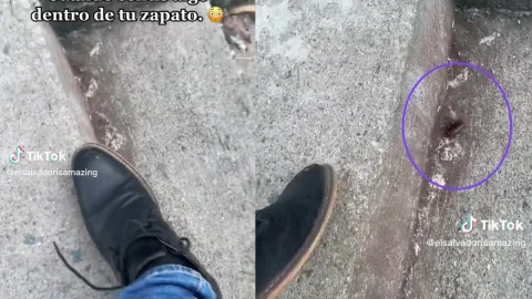 Hombre caminaba con cucaracha en el zapato.