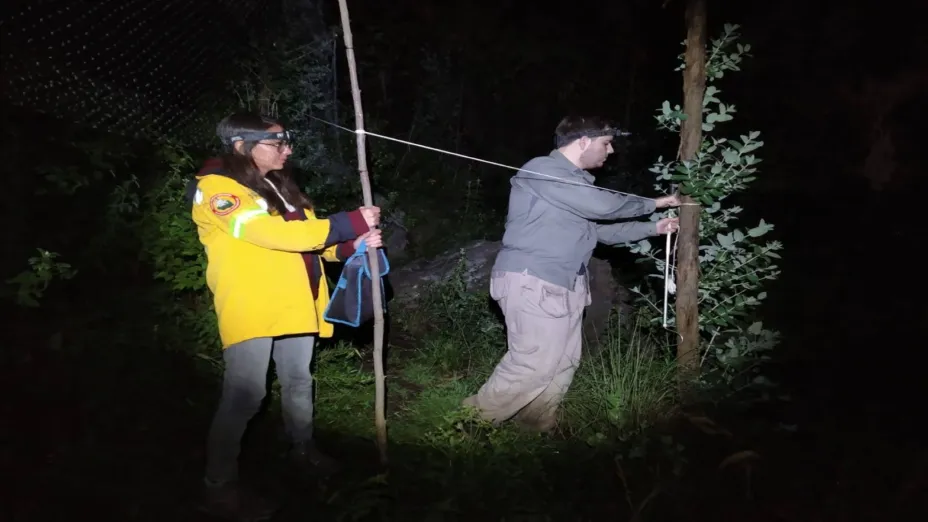 Logra Sedema identificar más de mil 400 especies en Áreas Naturales Protegidas .jpeg