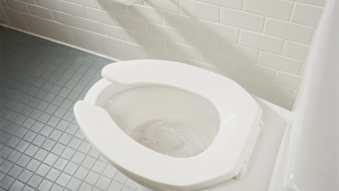 Remedios caseros para mantener limpio el inodoro y que luzca como nuevo.jpg