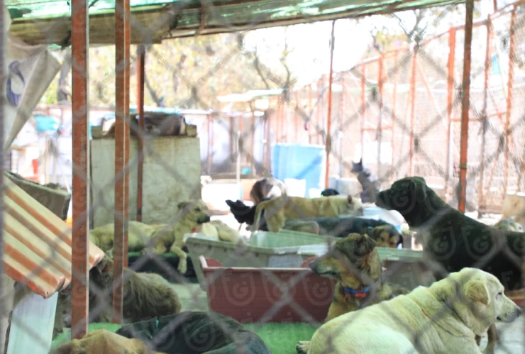 Ordenan devolver predio al Refugio Franciscano en Cuajimalpa