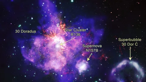 Ramo de estrellas que comparti