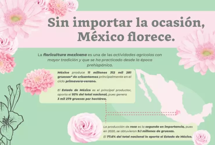 14 de febrero 2023 producción rosas