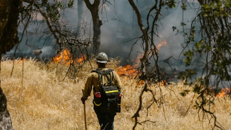 conafor-reporta-205-incendios-activos-mexico-entidades-mas-afectadas-14-5-2024.jpg