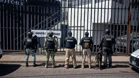 Cateos San Juan.jpeg