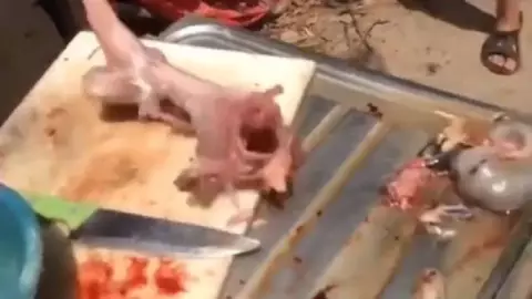 Carne cruda cobra vida.jpg