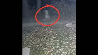Video viral figura sin cabeza caminando hacia atrás en patio de casa cámara de vigilancia.png