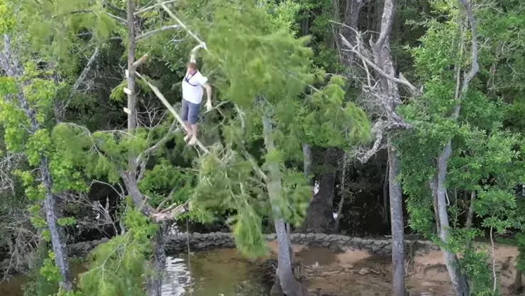 Hombre se cae de un árbol de 20 metros de altura