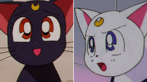 Luna y artemis sailor moon