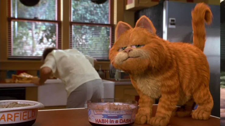 Curiosidades de Garfield