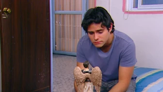 A Cada Quien Su Santo, Entrega Inmediata