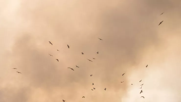 Calidad del aire en Torreón lunes 5 de mayo del 2025.jpg