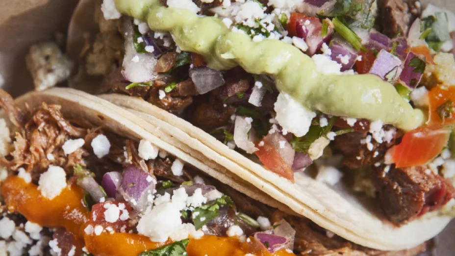 Alertan por tacos de perro.