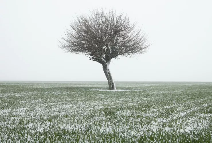 Lluvia engelante en Zacatecas ¿Qué es y cuál es la probabilidad de que ocurra en enero 2026