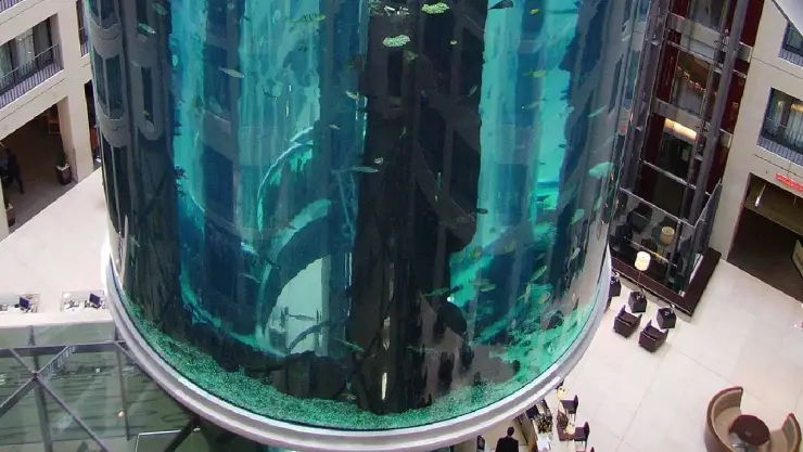 Explota acuario gigante en hotel de Berlín, habían más de mil peces