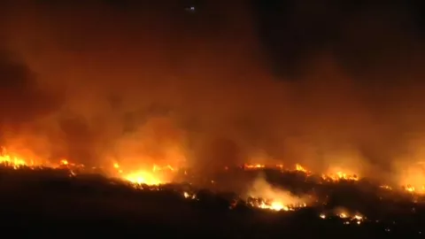 Incendios California 2025: Auto Fire en Ventura hoy martes 14 de enero de 2025 provoca alerta (VIDEO)