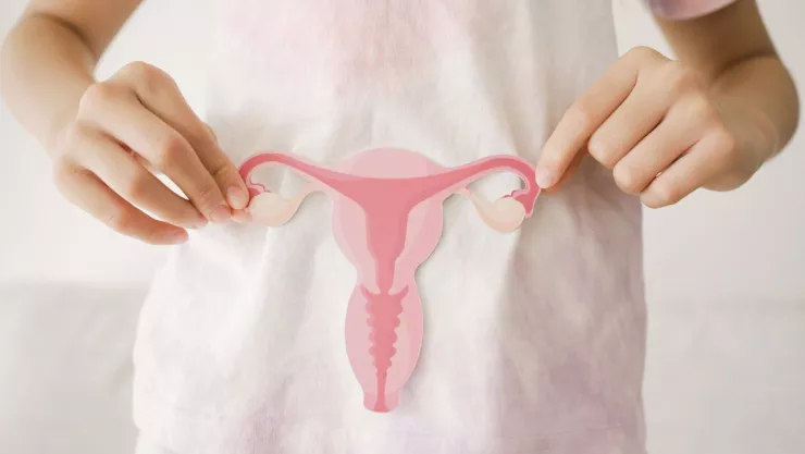 A que edad termina la menopausia