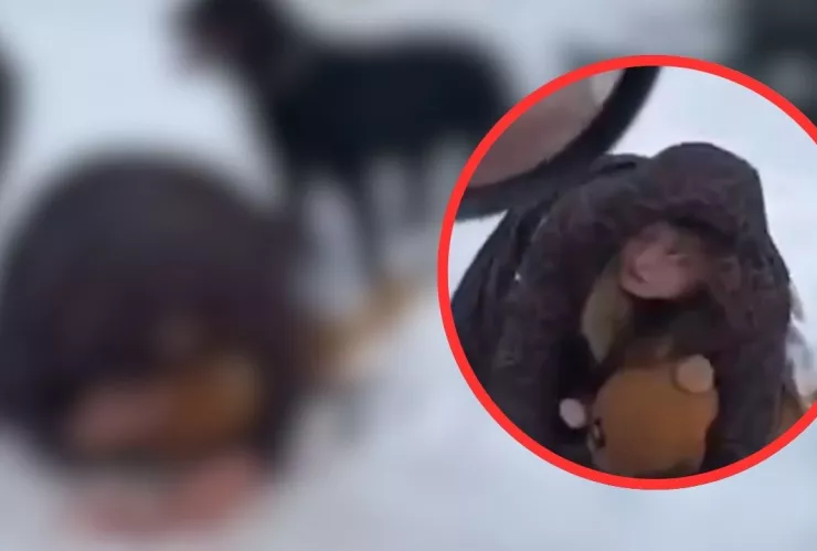 Madre protegió a su hijo con su cuerpo tras ataque de Rottweiler en Rusia hoy 27 de febrero de 2025