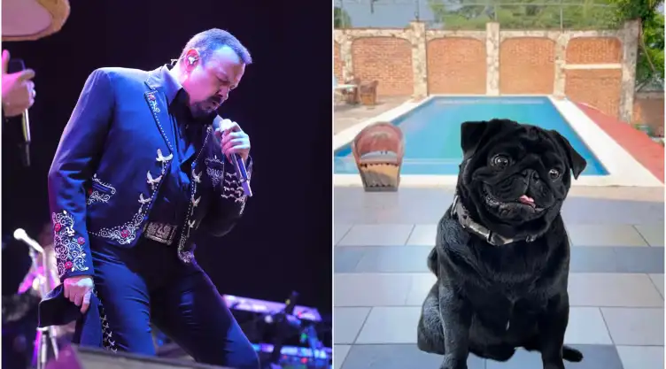 Pepe Aguilar-Emiliano Aguilar