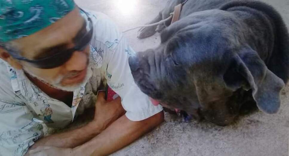 El señor de los perros 1