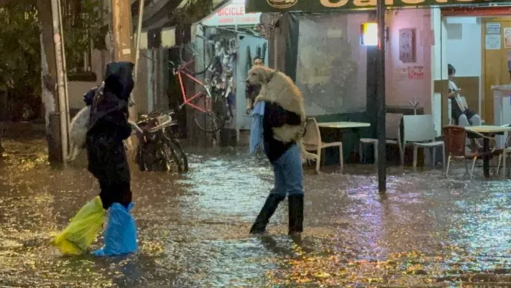 Clima en M&eacute;xico del 11 de agosto