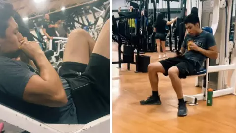 Alimento para perro gym