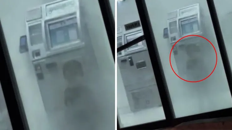 La imagen fue captada durante la noche y rápidamente se volvió viral