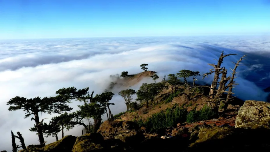 WhatsApp Image 2025-07-03 at 4.2.jpg