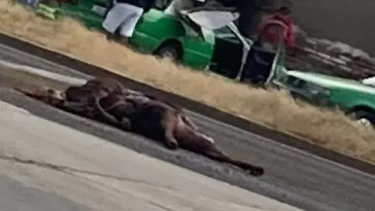 Fuerte accidente en la carretera León, Cuerámaro hoy 22 de octubre ¿Qué pasó? Esto sabemos