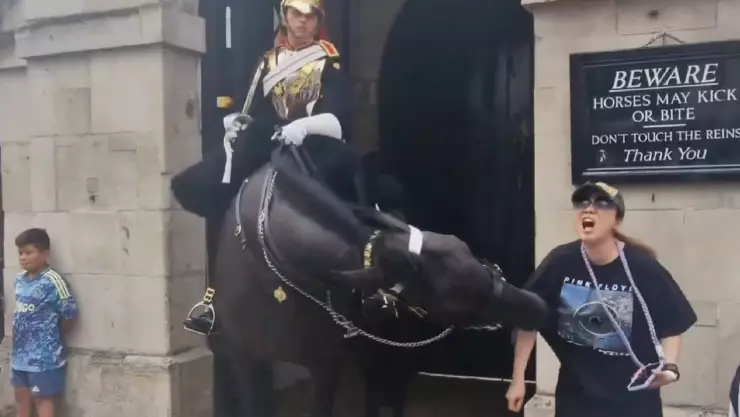 VIDEO_ Así fue como una turista fue MORDIDA por un caballo de la guardia real y se desmaya