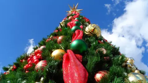 Clima Guerrero hoy 16 de diciembre de 2024_ El pronóstico del tiempo para el estado.jpg