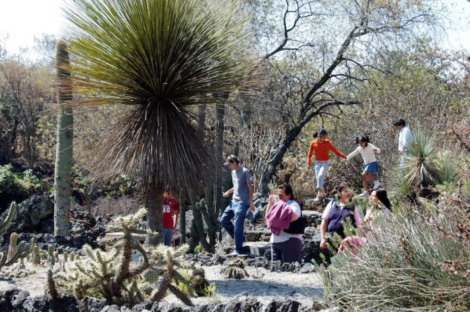 Ciudad Universitaria