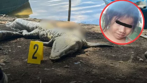 Niña devorada por cocodrilo en Guatemala